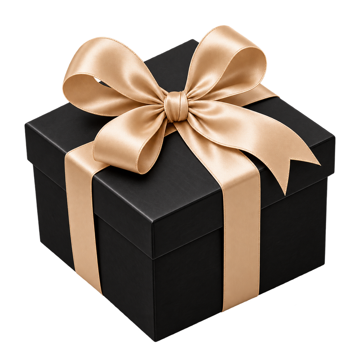 Regalo Extra Para Gatos
